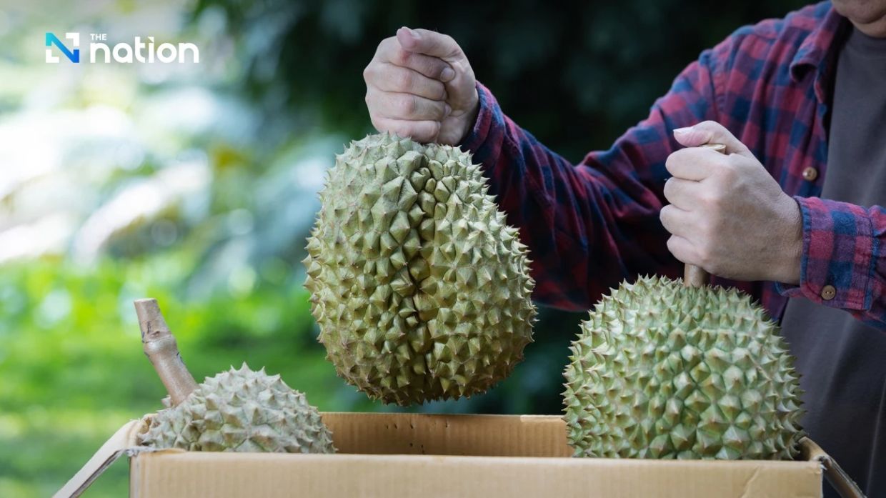 Thailand tops global agricultural exports with durian and coconut