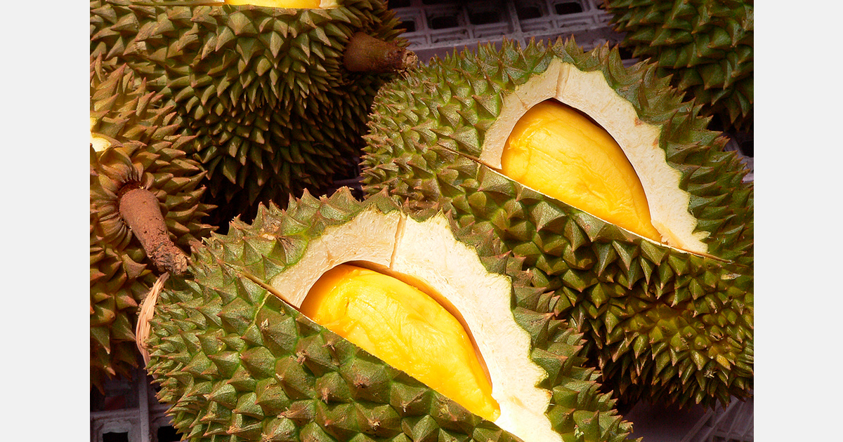 Thailand's produce imports from Vietnam see a surge in 2024